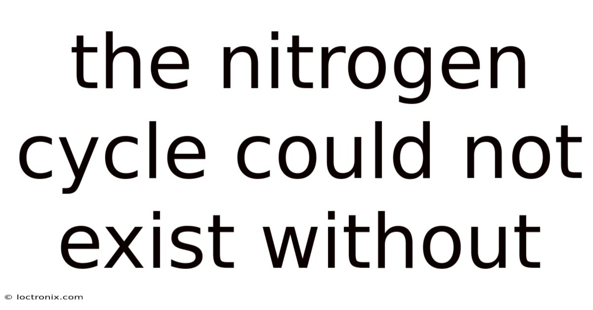 The Nitrogen Cycle Could Not Exist Without