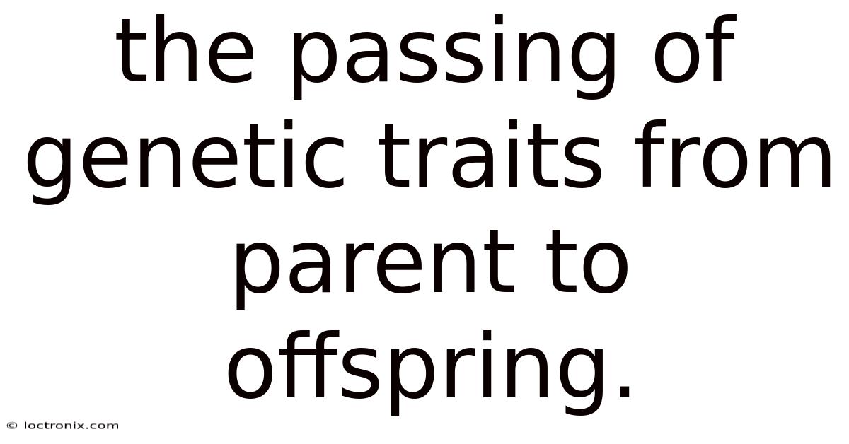 The Passing Of Genetic Traits From Parent To Offspring.