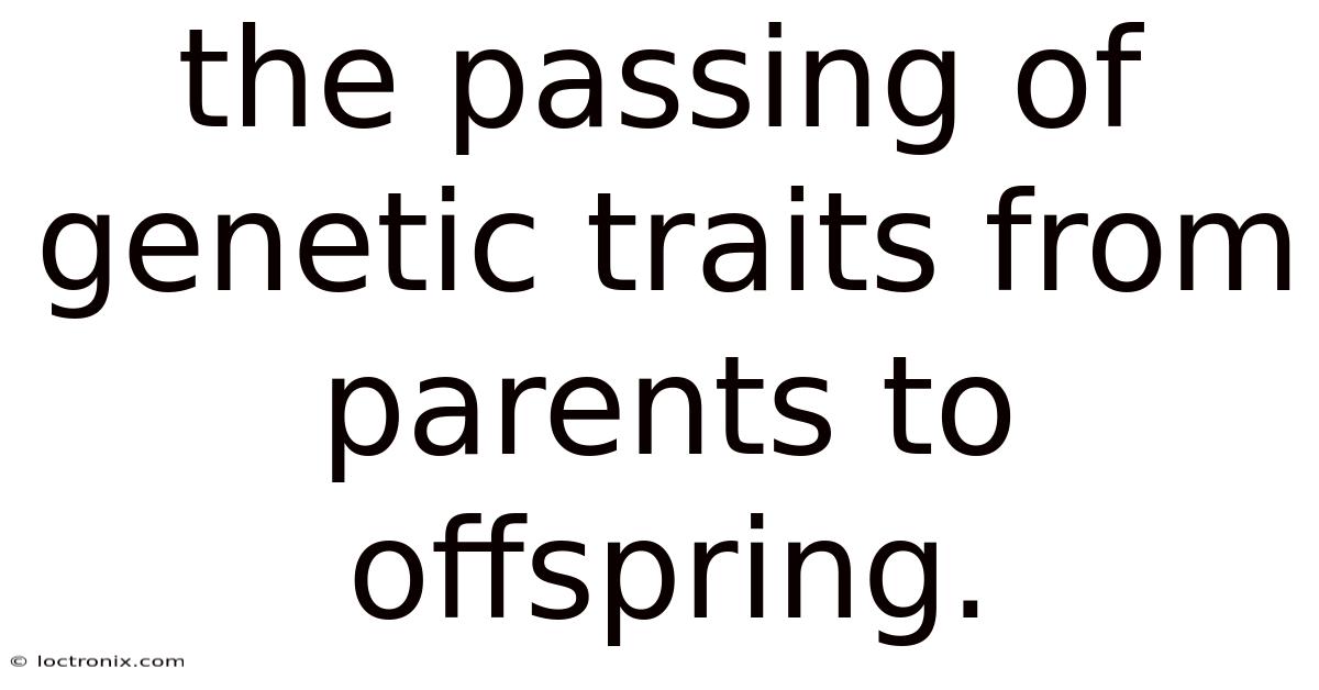 The Passing Of Genetic Traits From Parents To Offspring.
