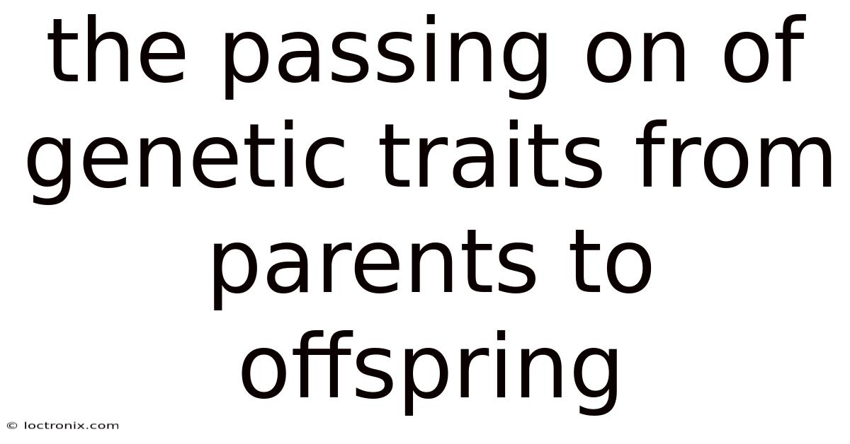 The Passing On Of Genetic Traits From Parents To Offspring