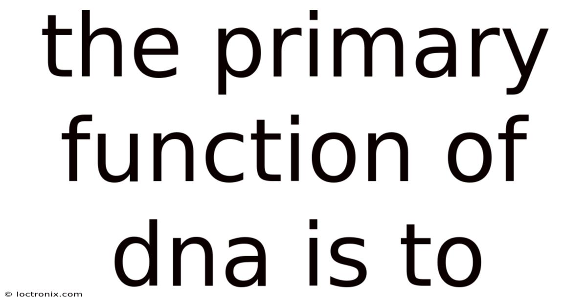 The Primary Function Of Dna Is To