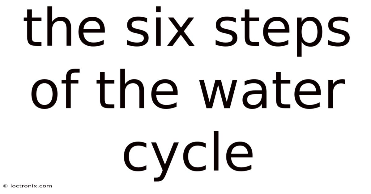 The Six Steps Of The Water Cycle
