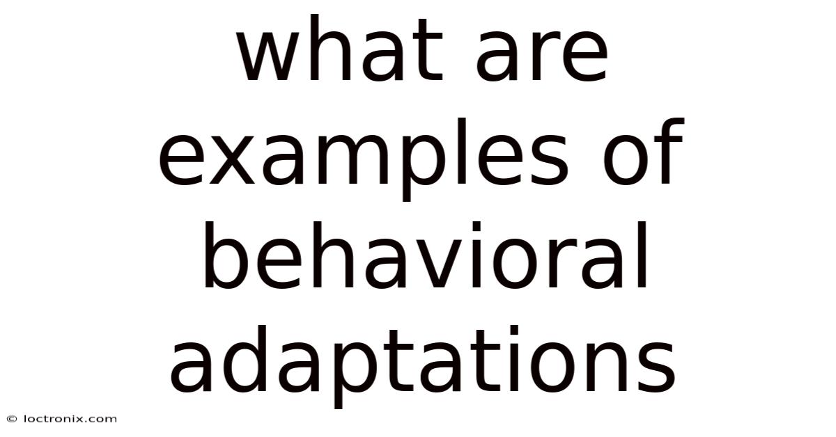 What Are Examples Of Behavioral Adaptations