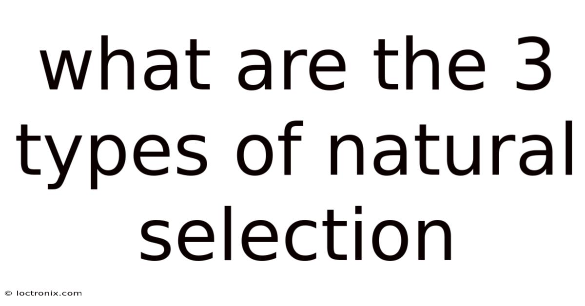 What Are The 3 Types Of Natural Selection