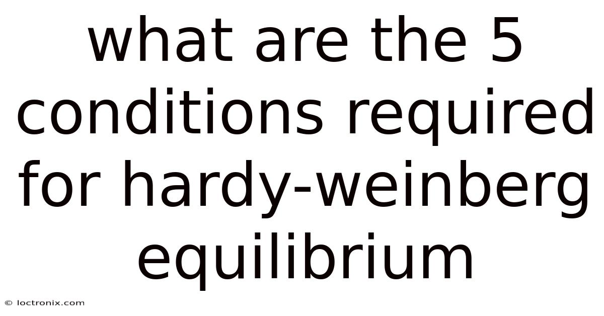 What Are The 5 Conditions Required For Hardy-weinberg Equilibrium