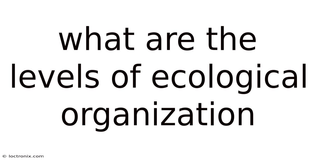What Are The Levels Of Ecological Organization
