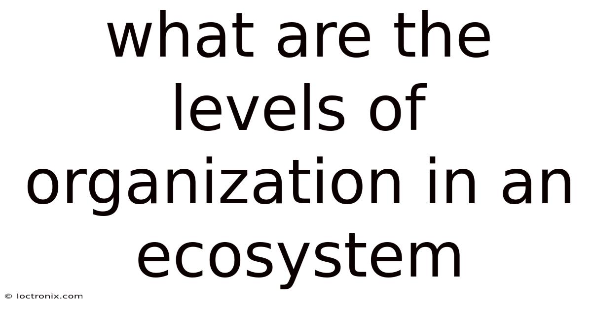 What Are The Levels Of Organization In An Ecosystem