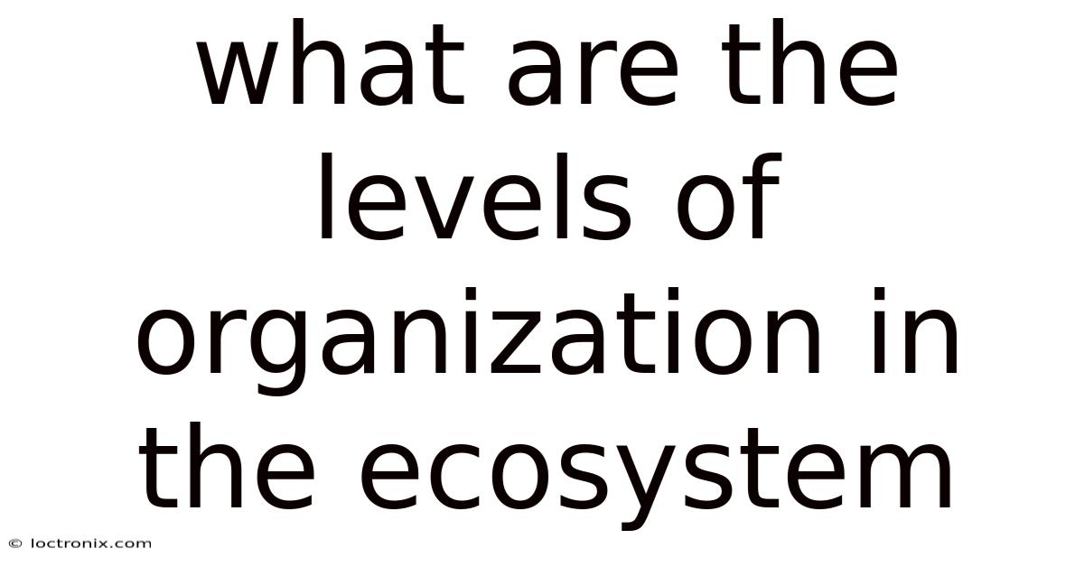 What Are The Levels Of Organization In The Ecosystem