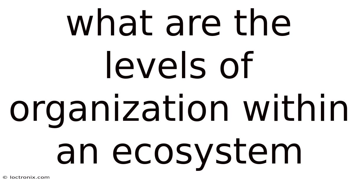 What Are The Levels Of Organization Within An Ecosystem