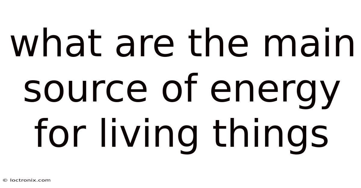 What Are The Main Source Of Energy For Living Things