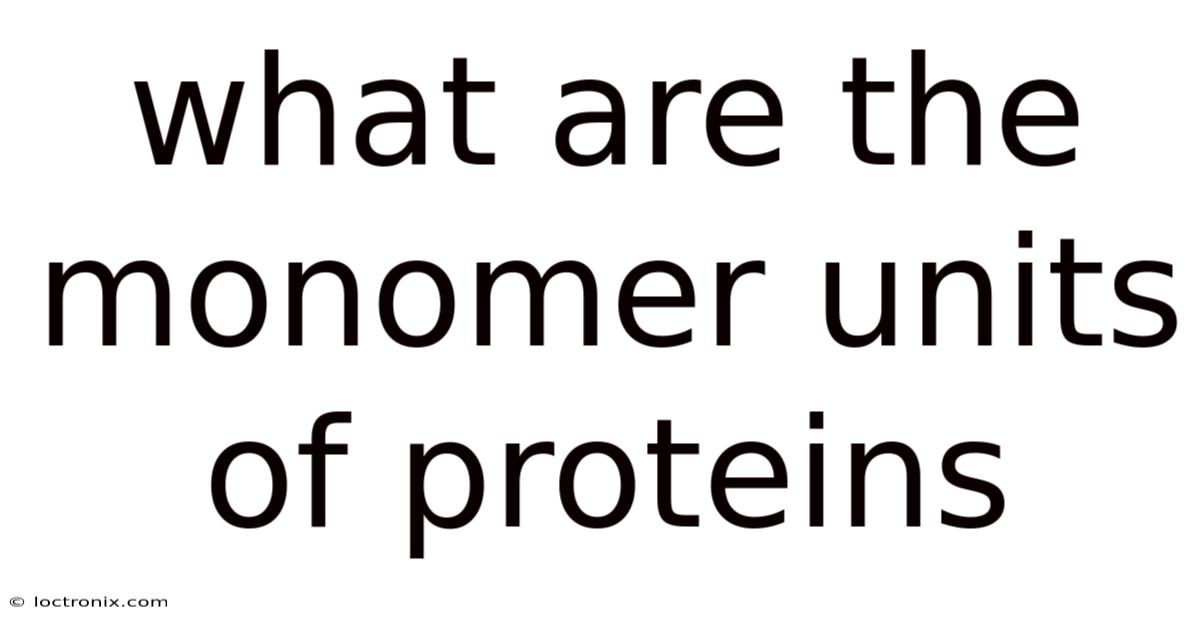 What Are The Monomer Units Of Proteins