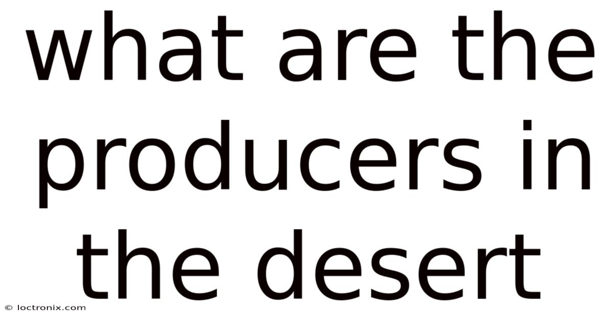 What Are The Producers In The Desert