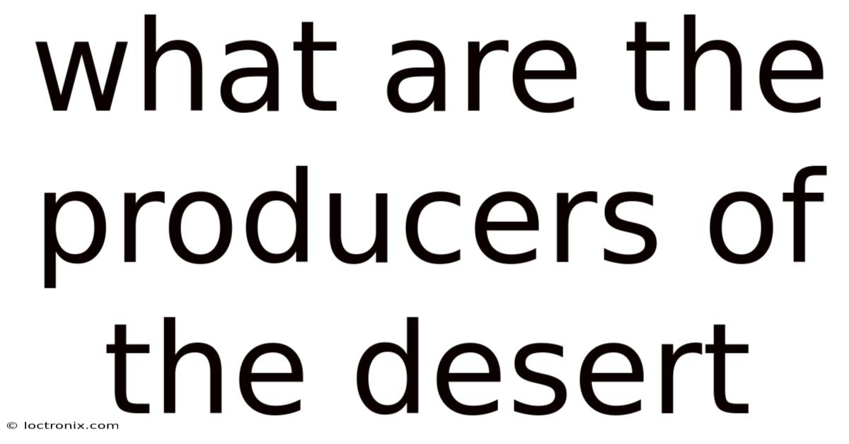 What Are The Producers Of The Desert