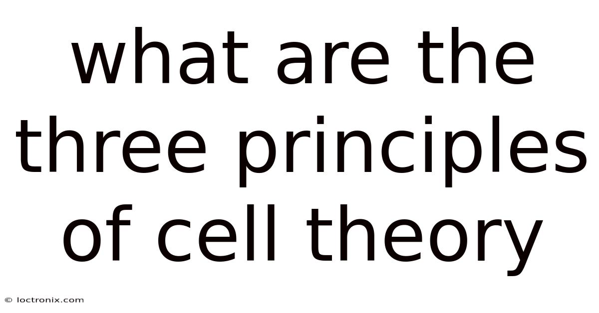 What Are The Three Principles Of Cell Theory