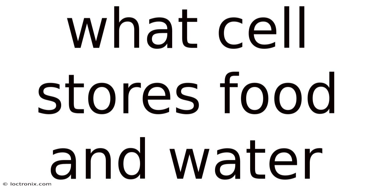 What Cell Stores Food And Water