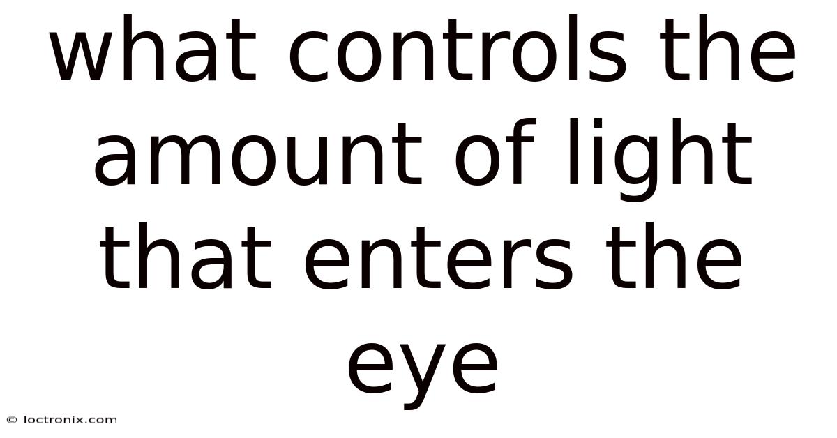 What Controls The Amount Of Light That Enters The Eye