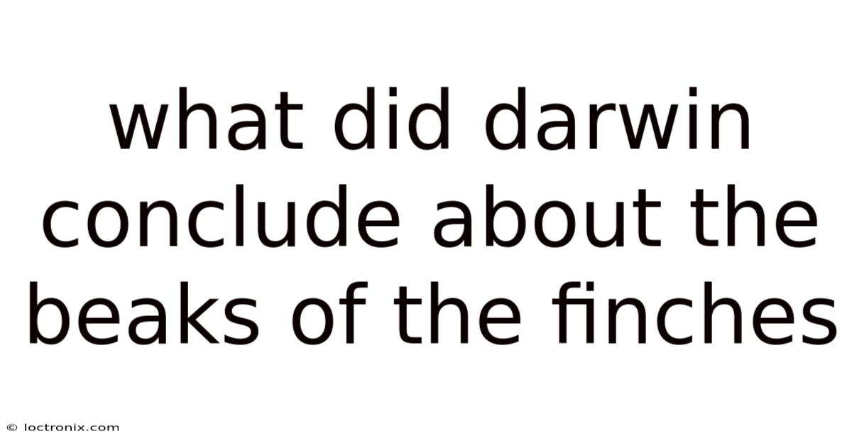 What Did Darwin Conclude About The Beaks Of The Finches