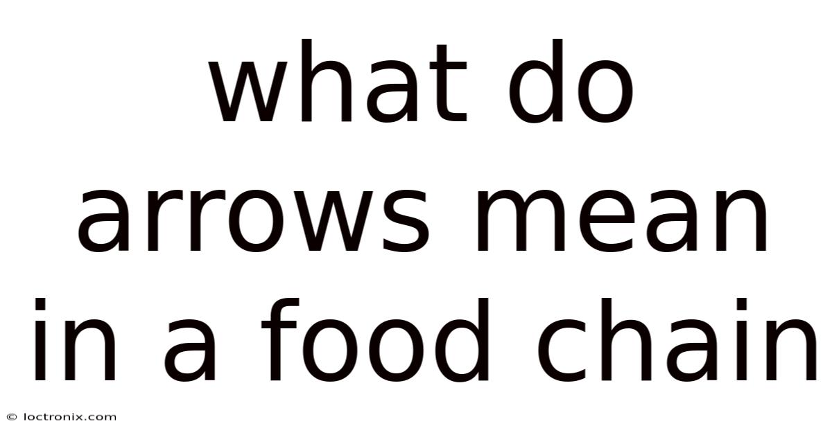 What Do Arrows Mean In A Food Chain