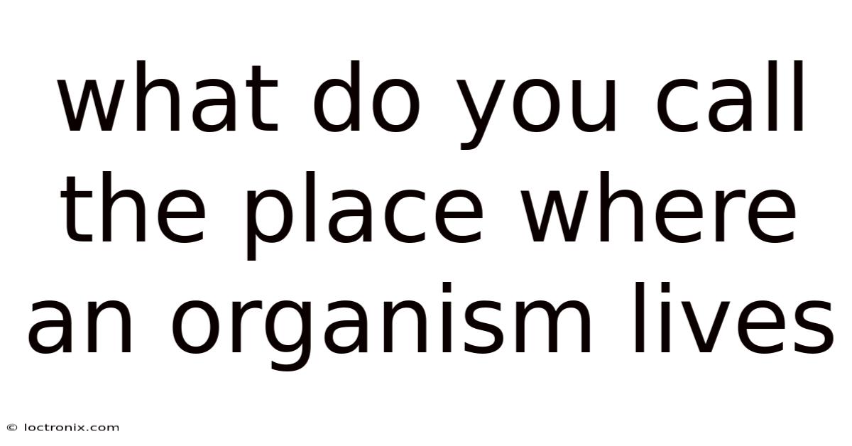 What Do You Call The Place Where An Organism Lives