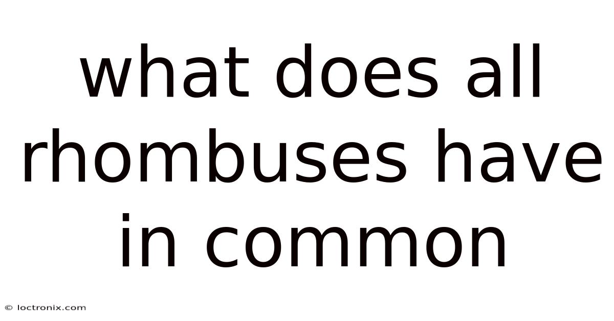 What Does All Rhombuses Have In Common