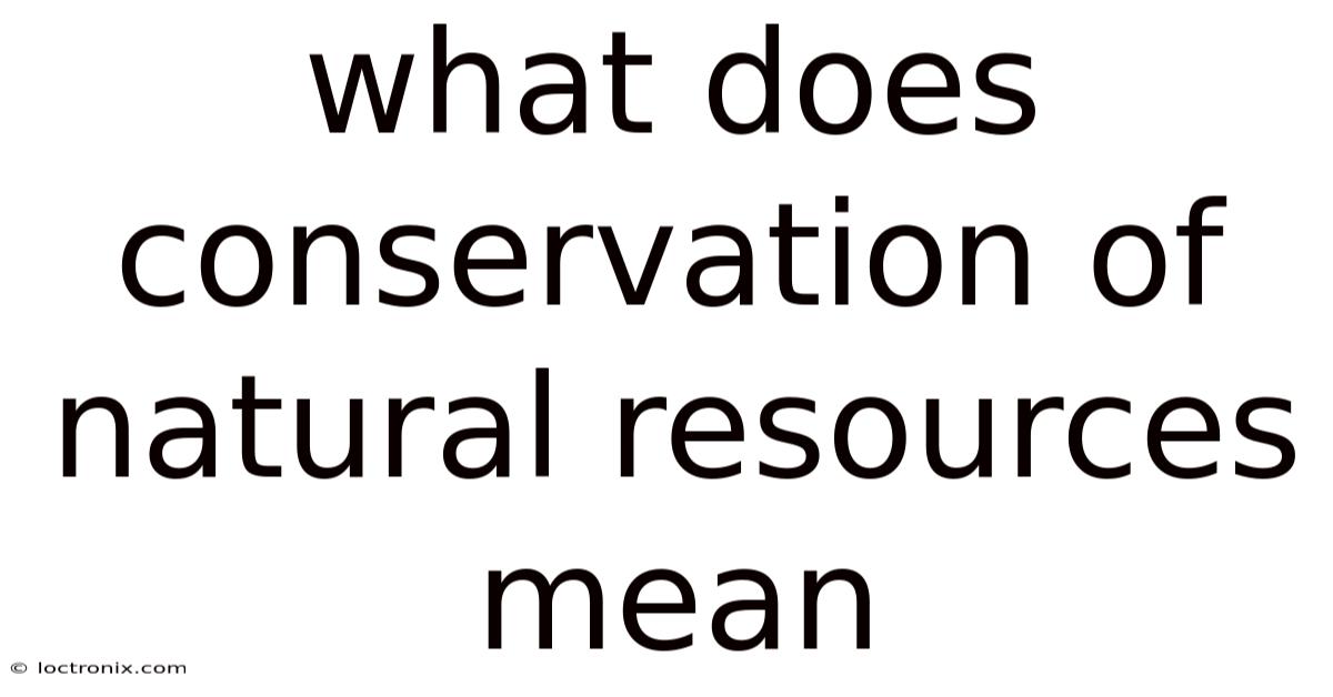 What Does Conservation Of Natural Resources Mean