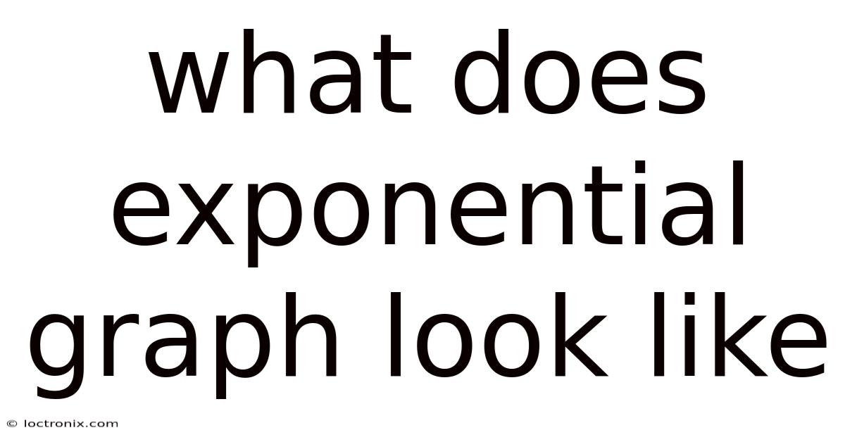 What Does Exponential Graph Look Like