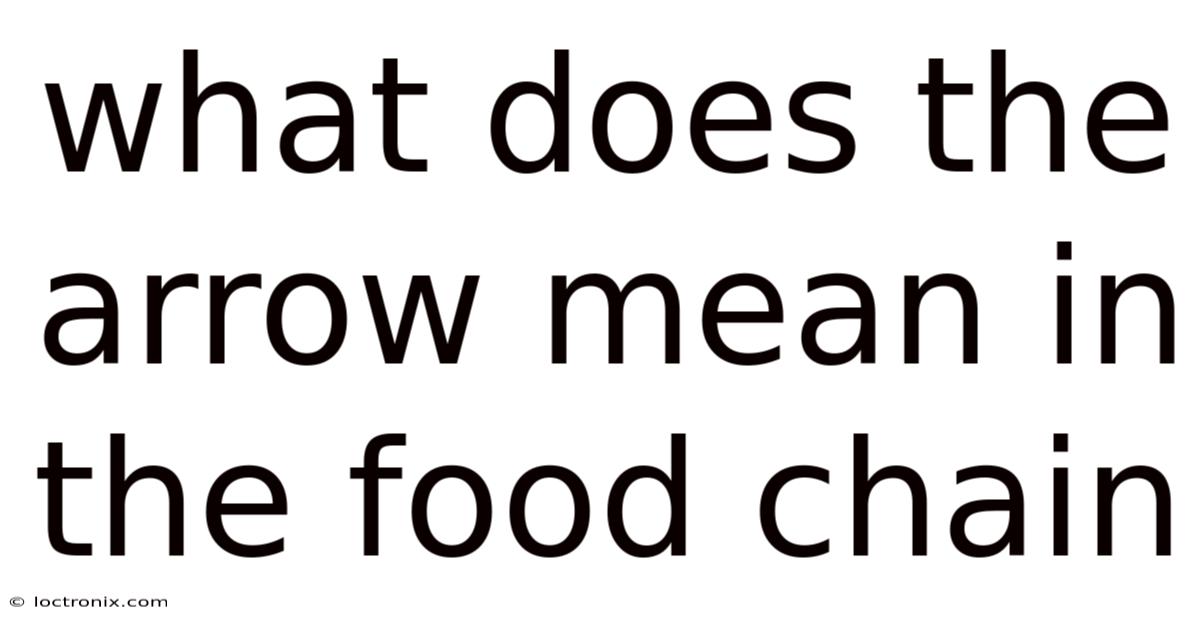 What Does The Arrow Mean In The Food Chain
