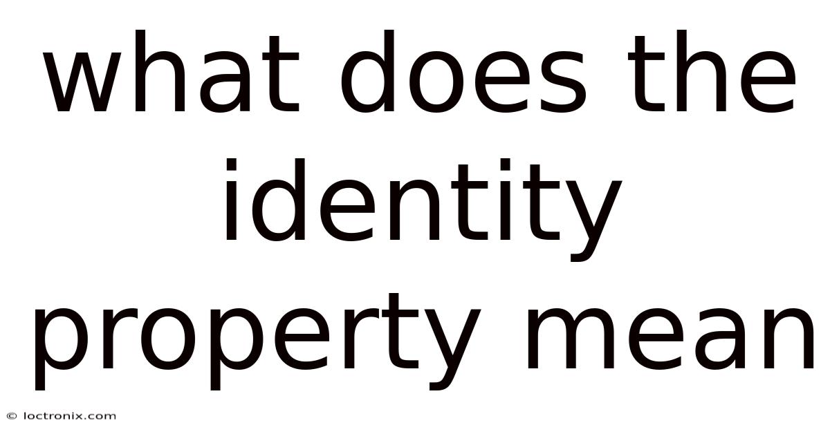 What Does The Identity Property Mean