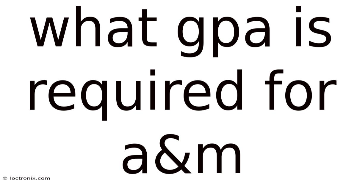 What Gpa Is Required For A&m