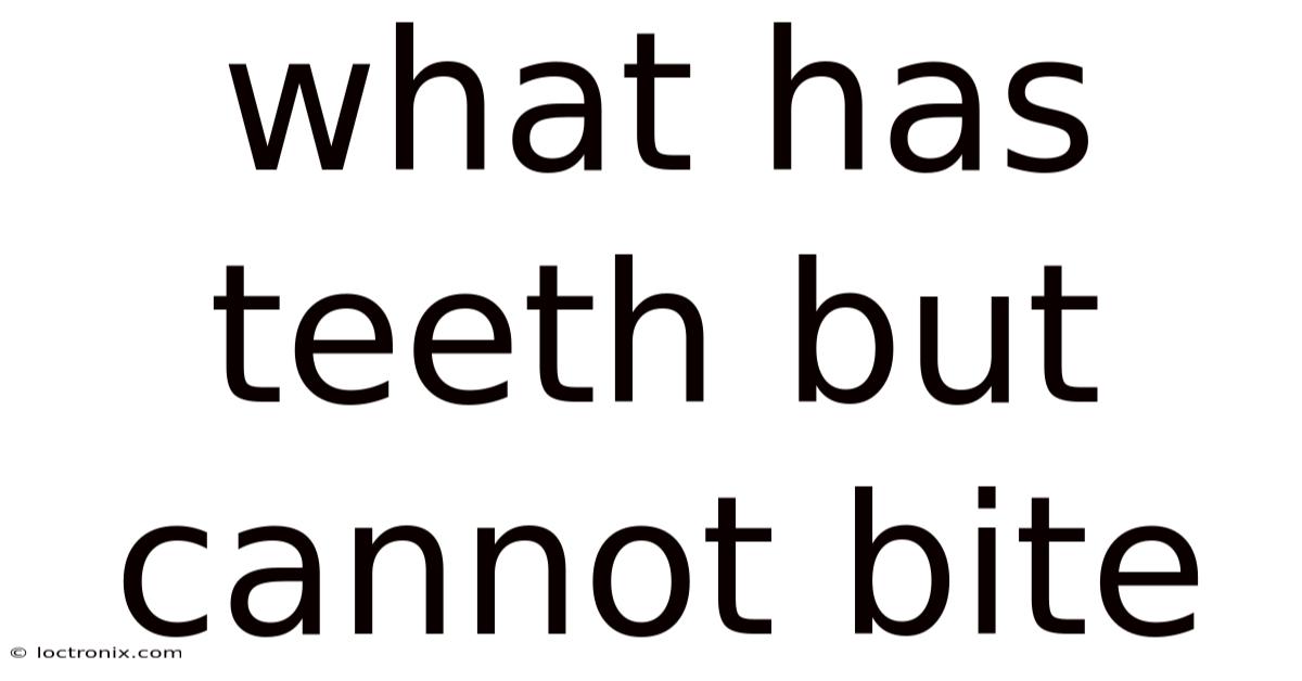 What Has Teeth But Cannot Bite