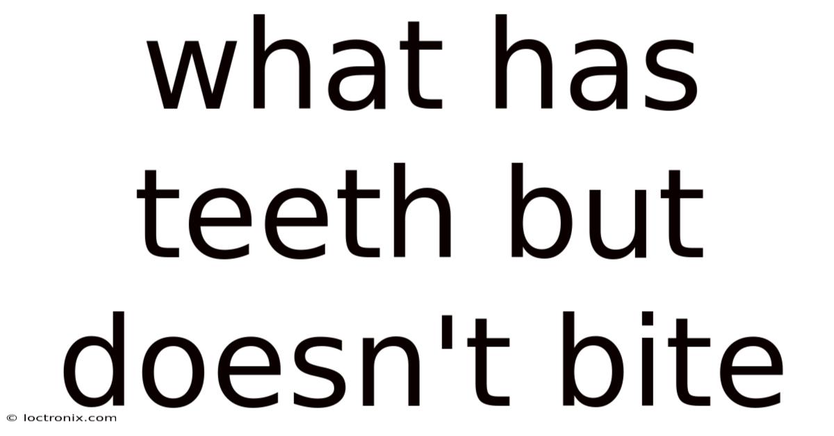 What Has Teeth But Doesn't Bite