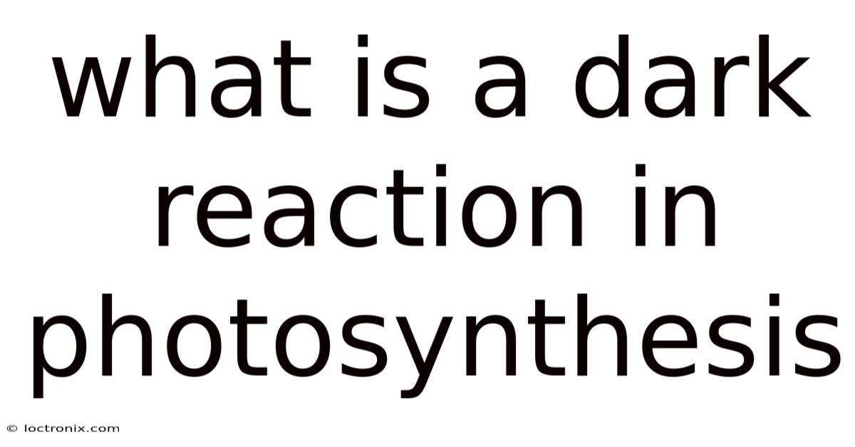 What Is A Dark Reaction In Photosynthesis