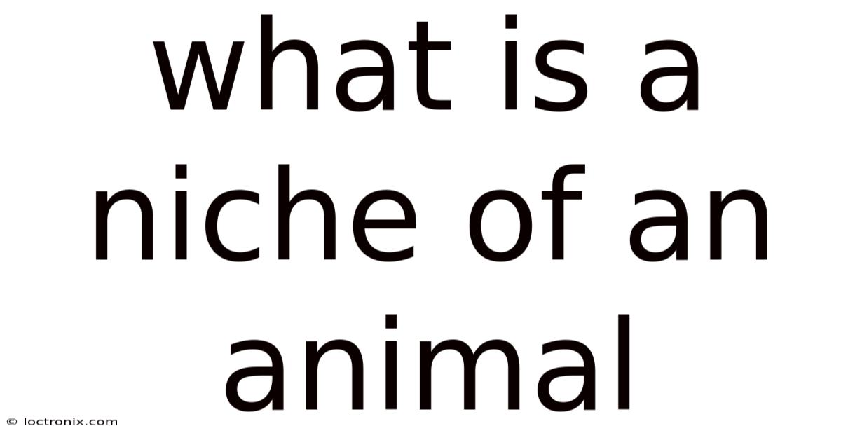 What Is A Niche Of An Animal
