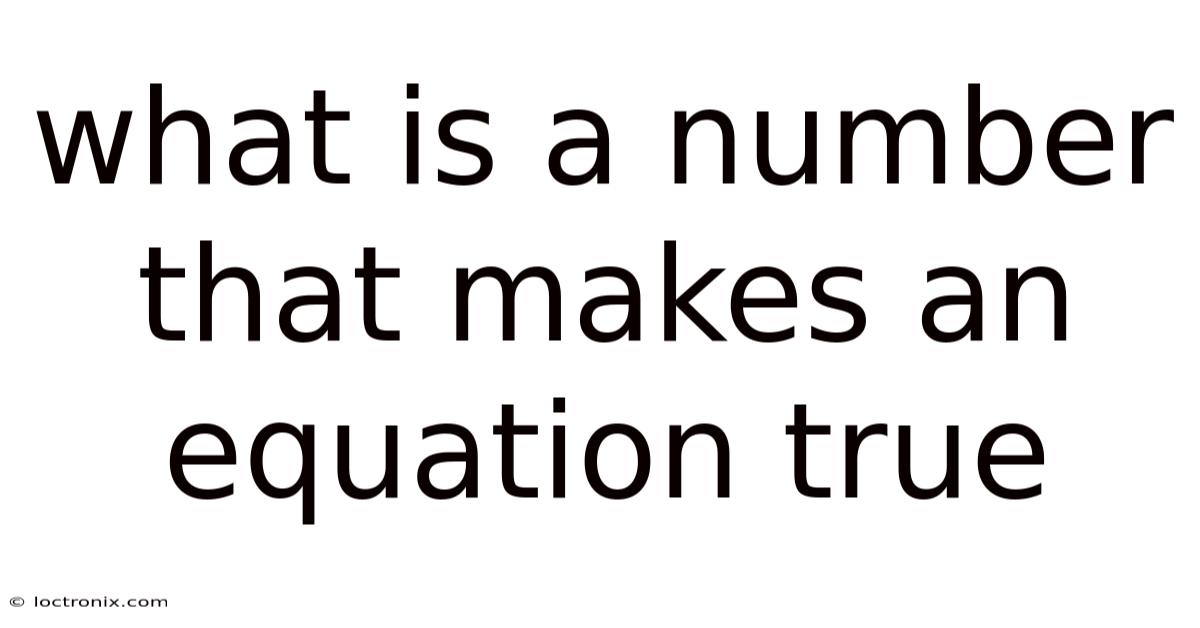 What Is A Number That Makes An Equation True