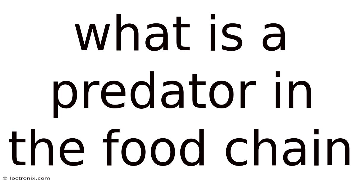What Is A Predator In The Food Chain