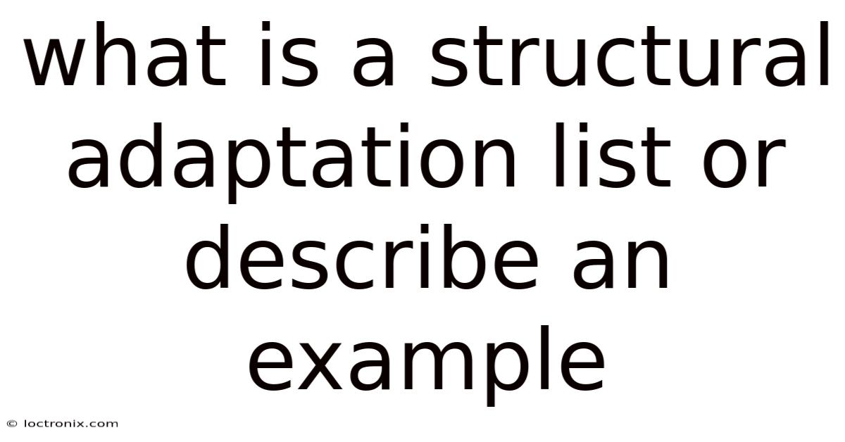 What Is A Structural Adaptation List Or Describe An Example
