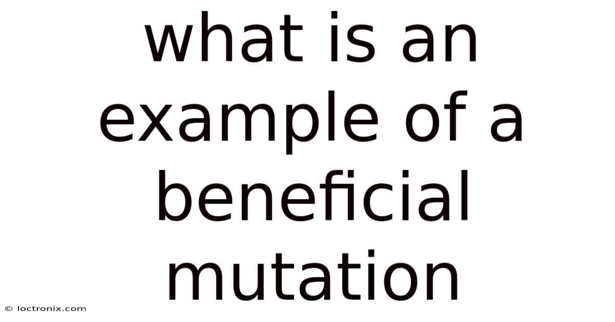 What Is An Example Of A Beneficial Mutation