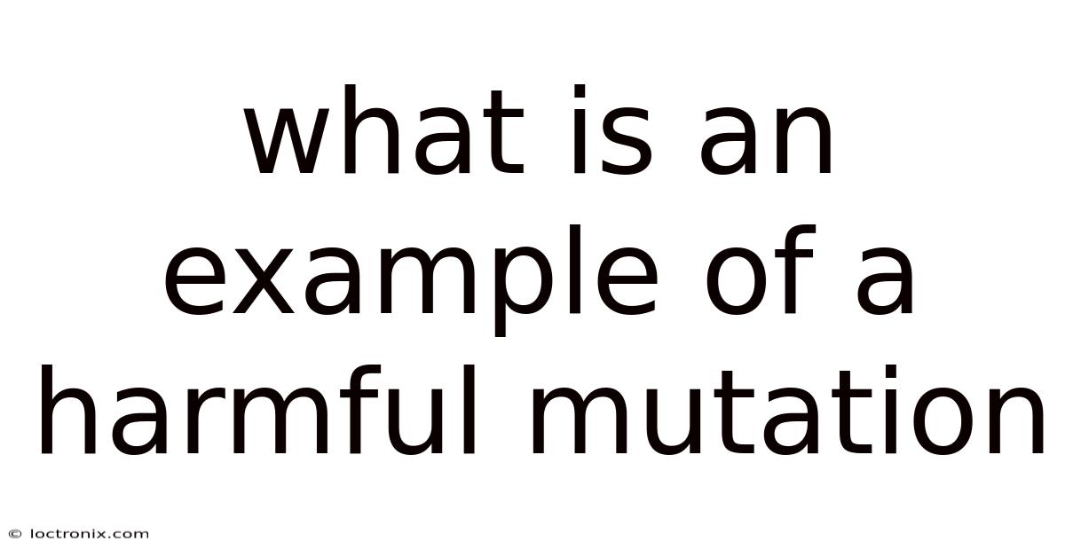 What Is An Example Of A Harmful Mutation