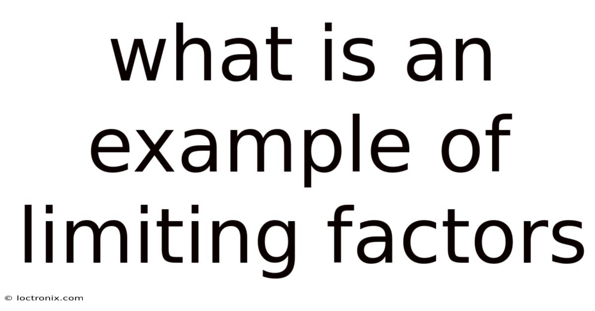 What Is An Example Of Limiting Factors