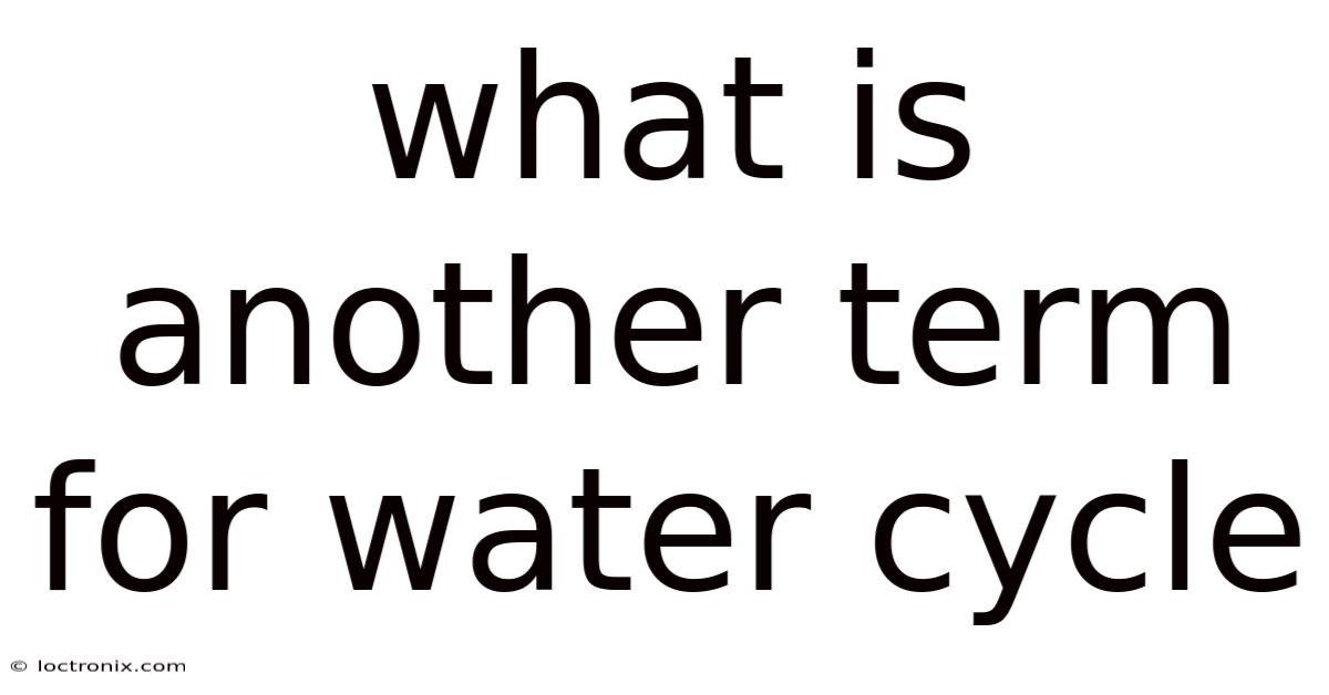 What Is Another Term For Water Cycle