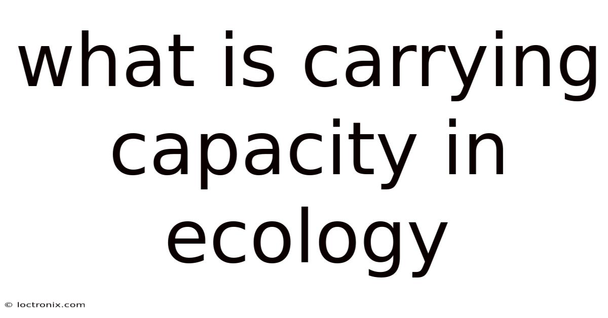 What Is Carrying Capacity In Ecology