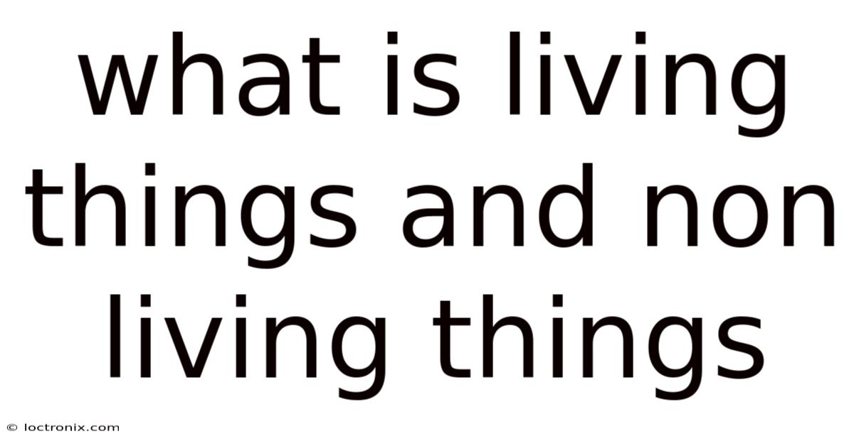 What Is Living Things And Non Living Things