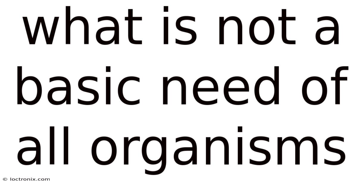 What Is Not A Basic Need Of All Organisms