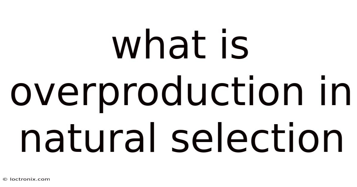 What Is Overproduction In Natural Selection