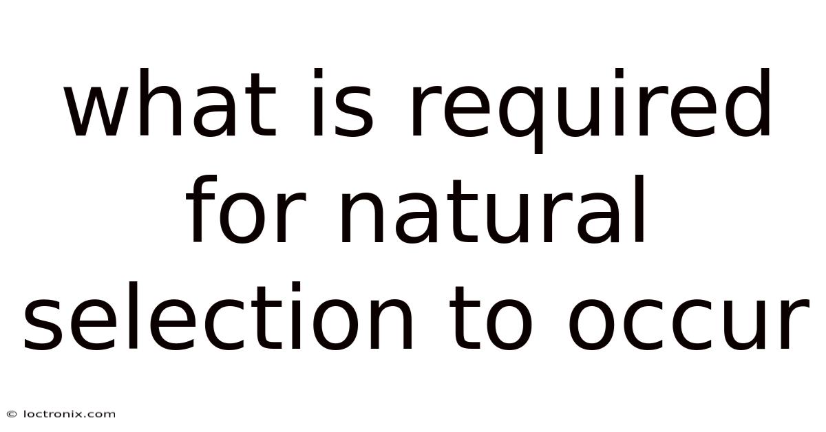 What Is Required For Natural Selection To Occur