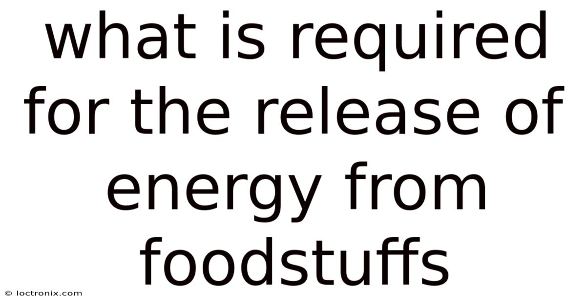 What Is Required For The Release Of Energy From Foodstuffs