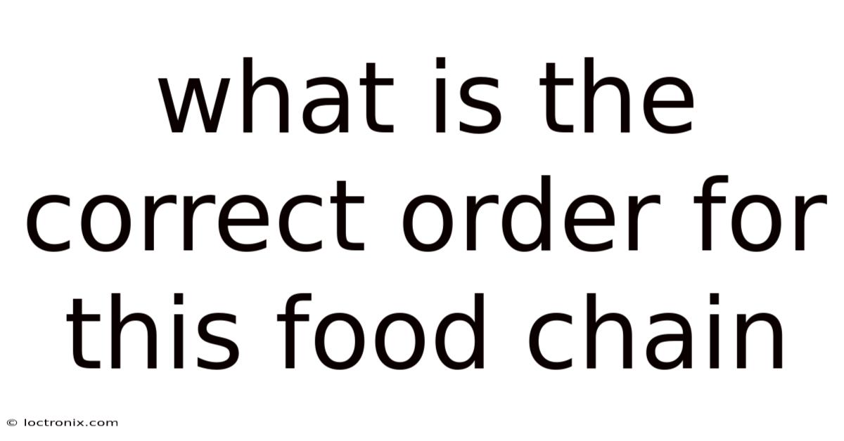 What Is The Correct Order For This Food Chain
