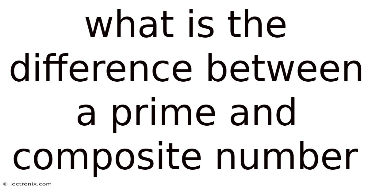 What Is The Difference Between A Prime And Composite Number