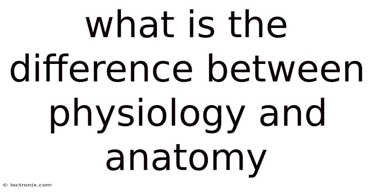 What Is The Difference Between Physiology And Anatomy