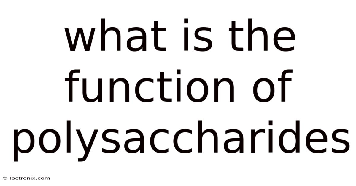 What Is The Function Of Polysaccharides